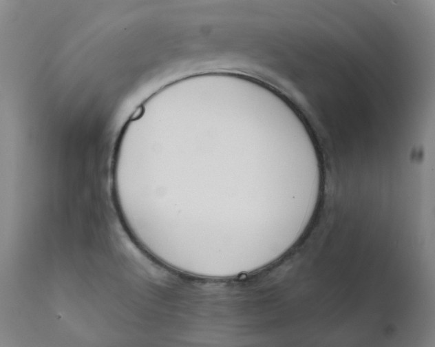 X0000111781512200908131336