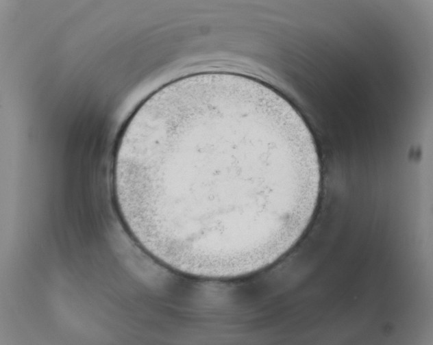 X0000111781514200908131336