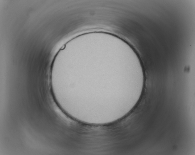 X0000111781516200908131336