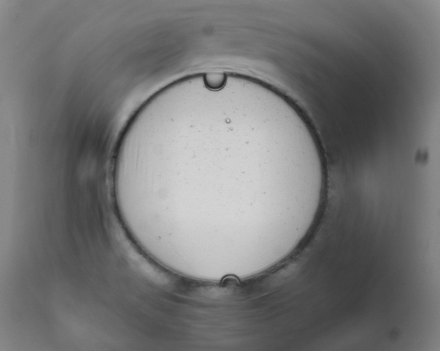 X0000111781517200908131336