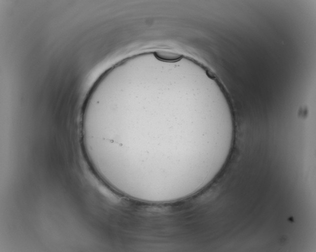 X0000111781519200908131336