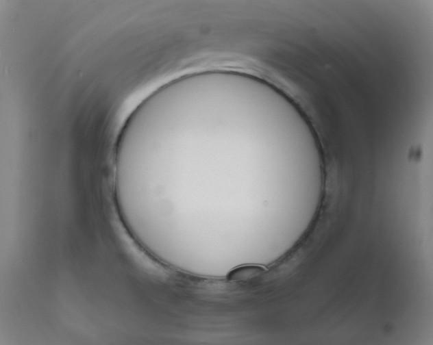 X0000111781520200908131336