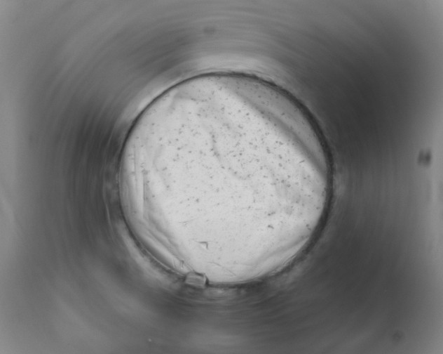 X0000111781521200908131336