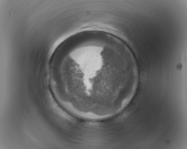 X0000111781522200908131336
