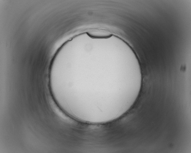 X0000111781523200908131336