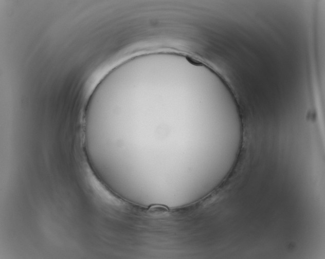 X0000111781524200908131336