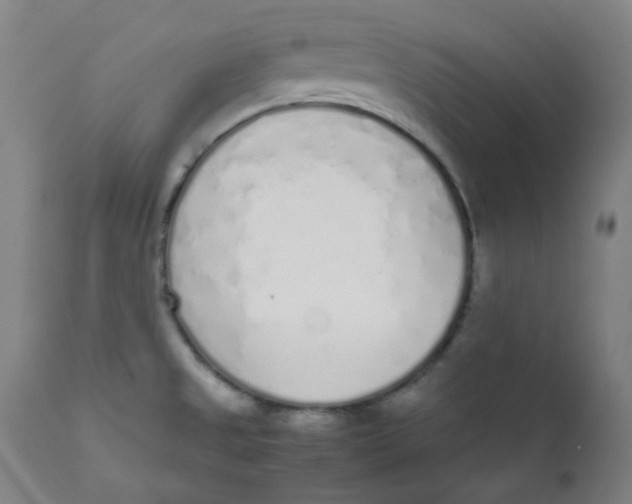X0000111781525200908131336