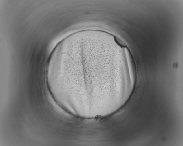 X0000111781526200908131336