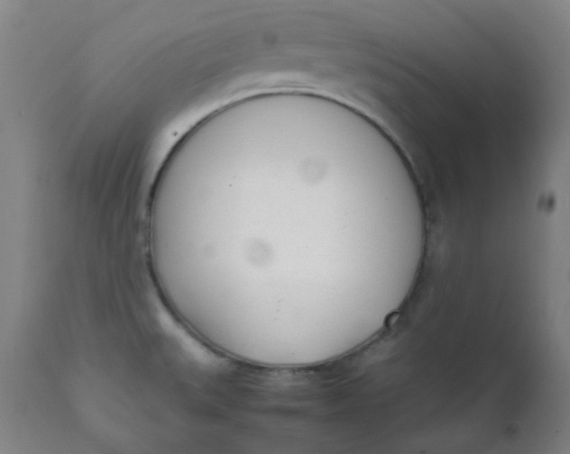 X0000111781527200908131336