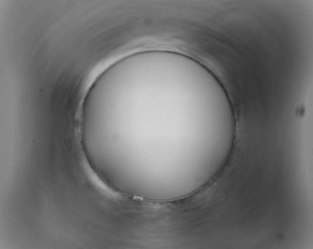 X0000111781528200908131336