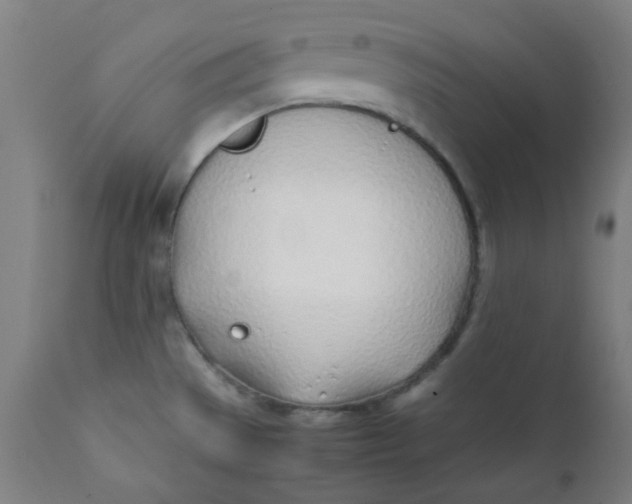 X0000111781529200908131336