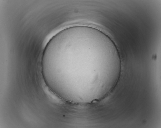 X0000111781530200908131336