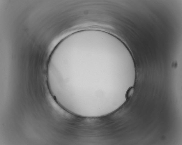 X0000111781531200908131336