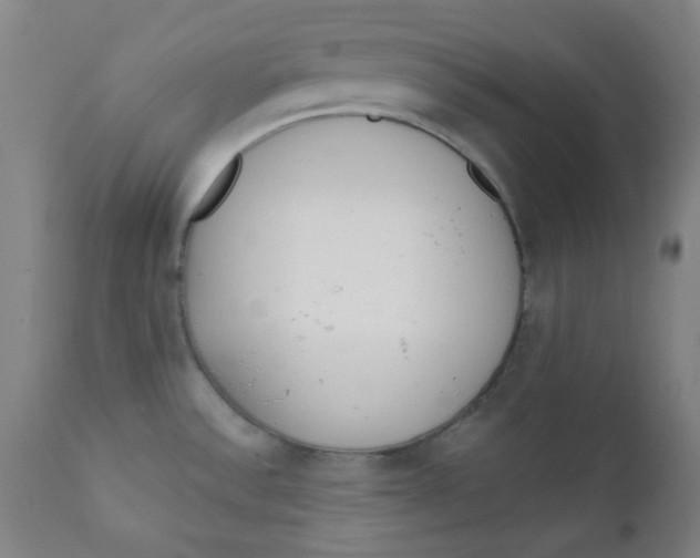 X0000111781532200908131336