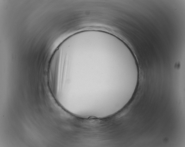 X0000111781533200908131336
