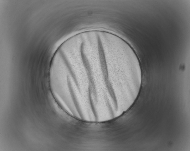 X0000111781534200908131336
