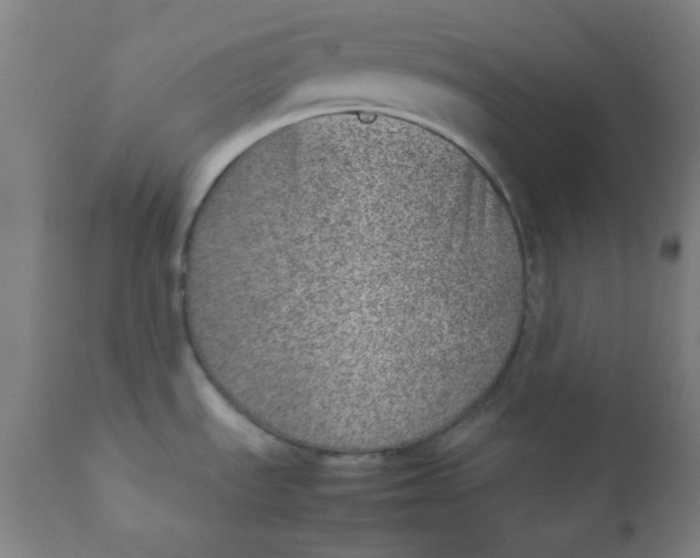 X0000111781535200908131336
