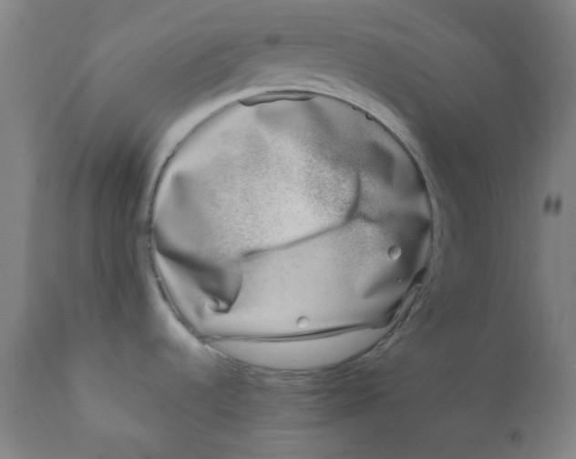X0000111781536200908131337