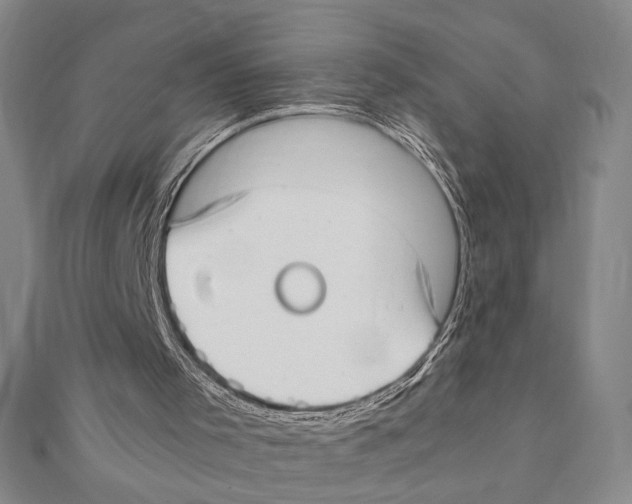 X0000111780001200908201120