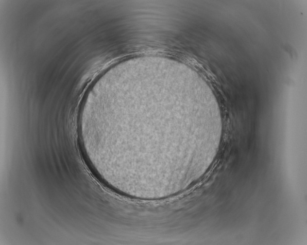 X0000111780002200908201119