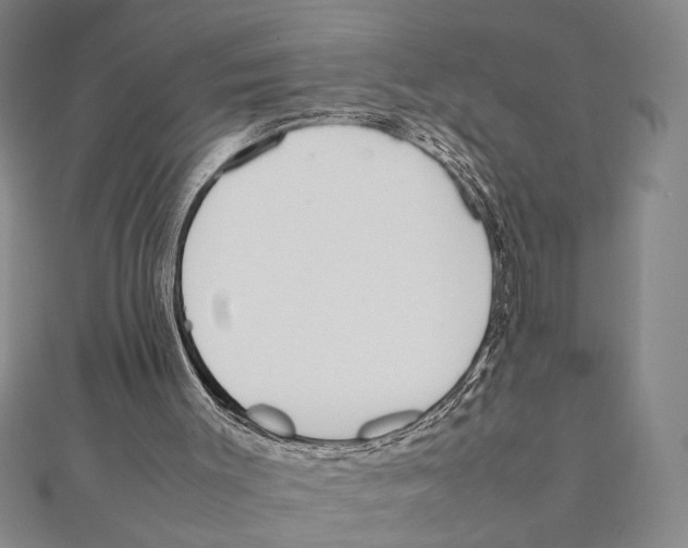 X0000111780003200908201119