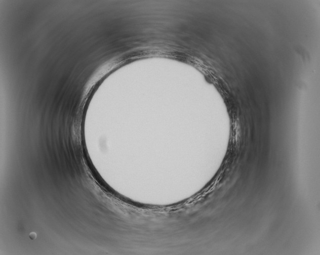 X0000111780004200908201119