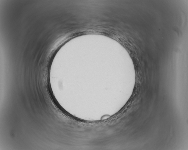 X0000111780005200908201119