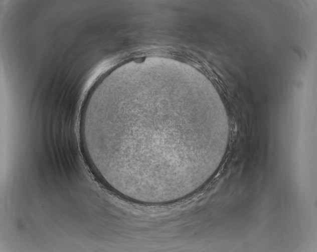 X0000111780006200908201119