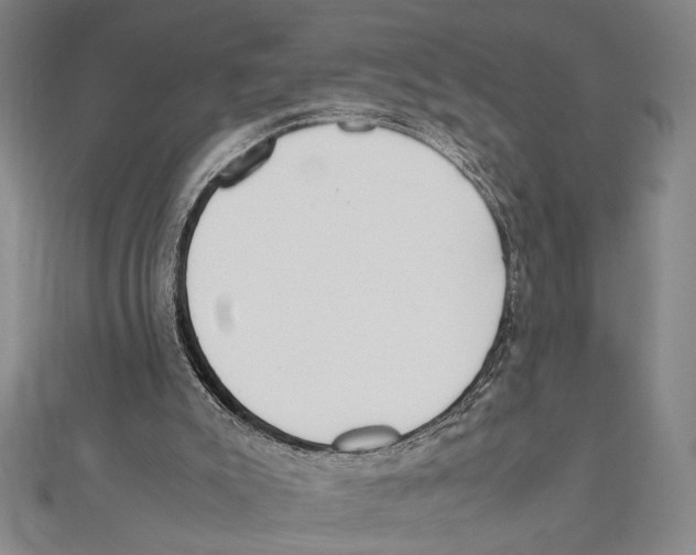 X0000111780007200908201119