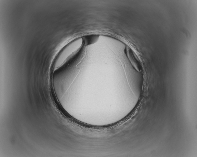X0000111780008200908201119