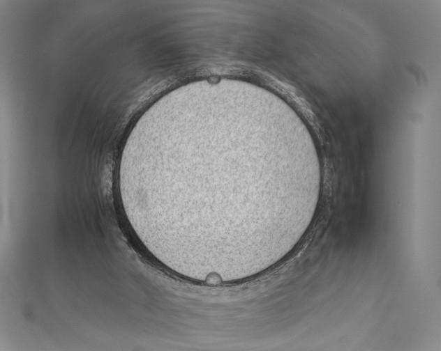 X0000111780010200908201119