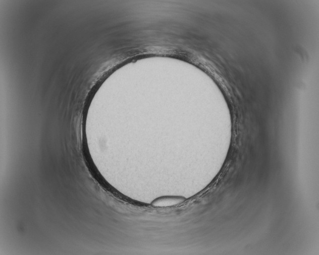 X0000111780011200908201119