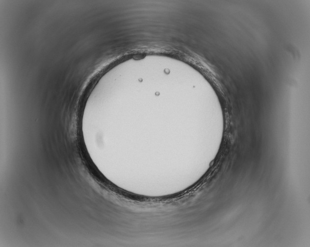 X0000111780012200908201119