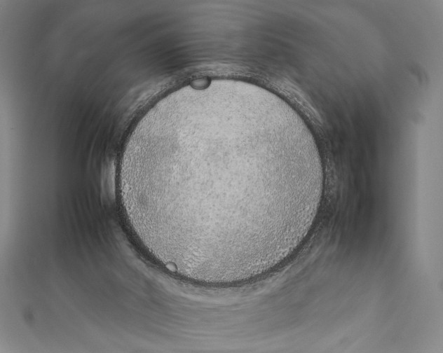 X0000111780014200908201119