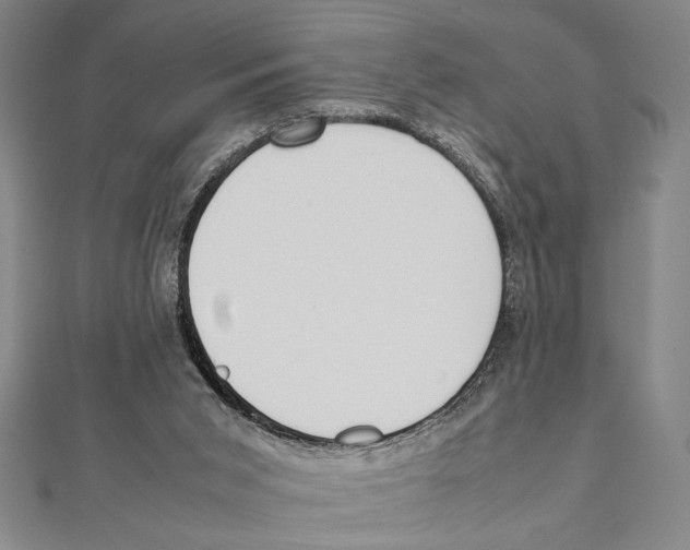 X0000111780015200908201119