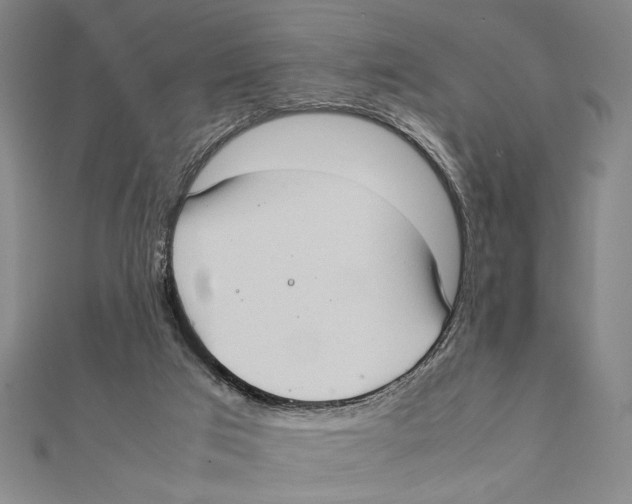 X0000111780017200908201119