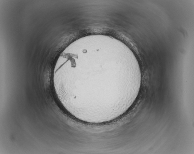 X0000111780018200908201119