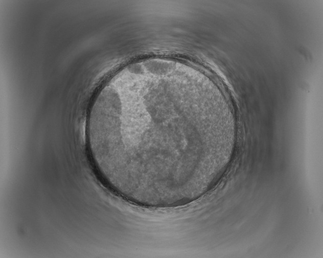 X0000111780019200908201119