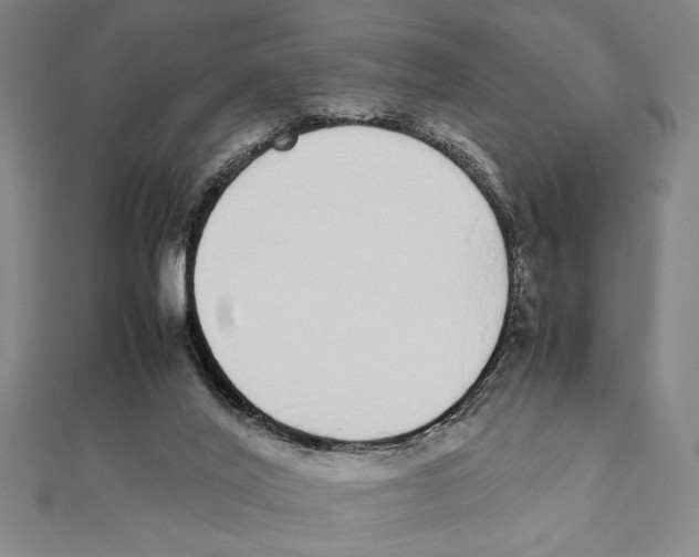 X0000111780020200908201119