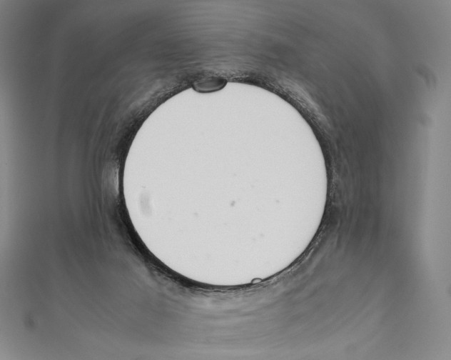 X0000111780021200908201119