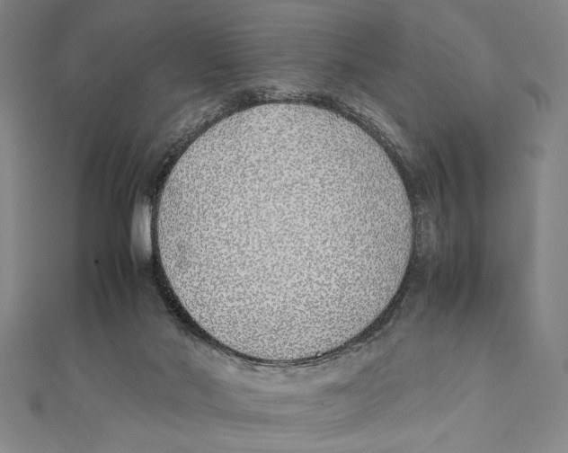 X0000111780022200908201119