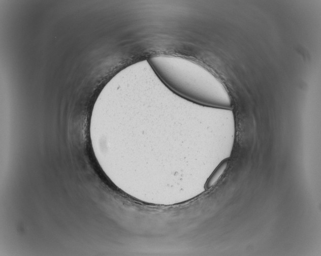 X0000111780023200908201119