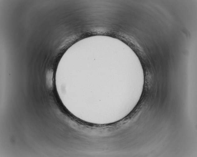 X0000111780024200908201119