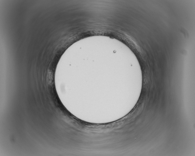 X0000111780025200908201119