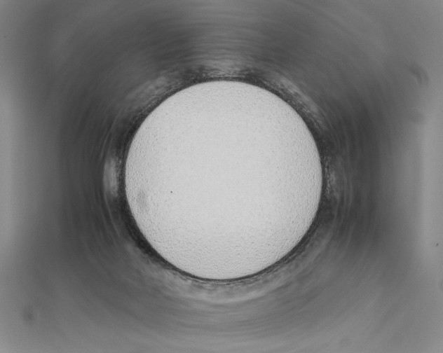 X0000111780026200908201119