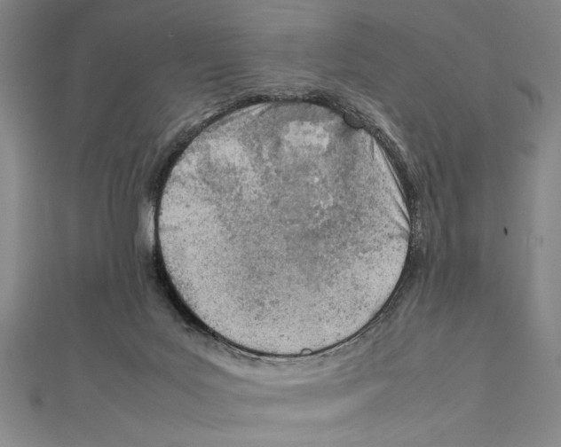 X0000111780027200908201119