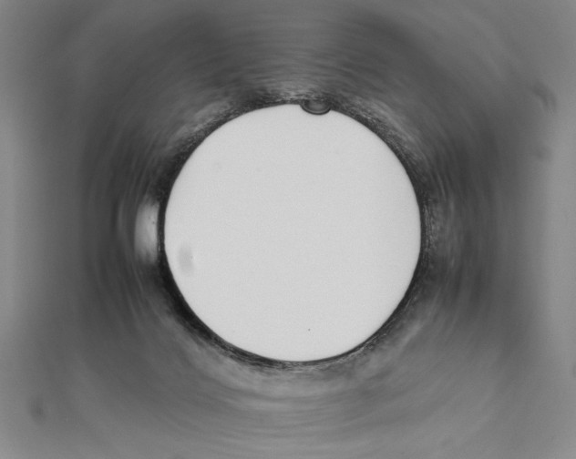 X0000111780028200908201119