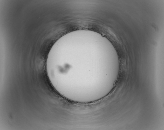 X0000111780029200908201119