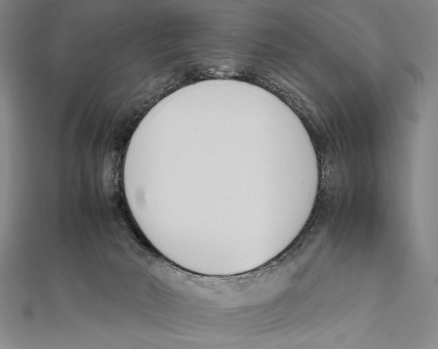 X0000111780030200908201119