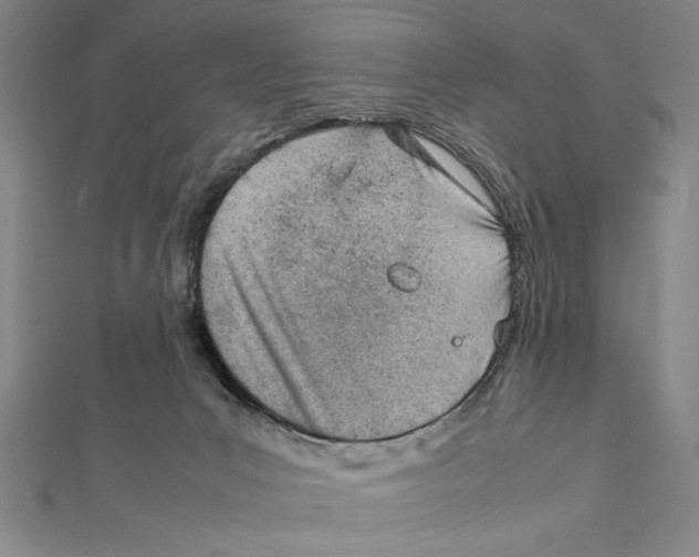 X0000111780031200908201119